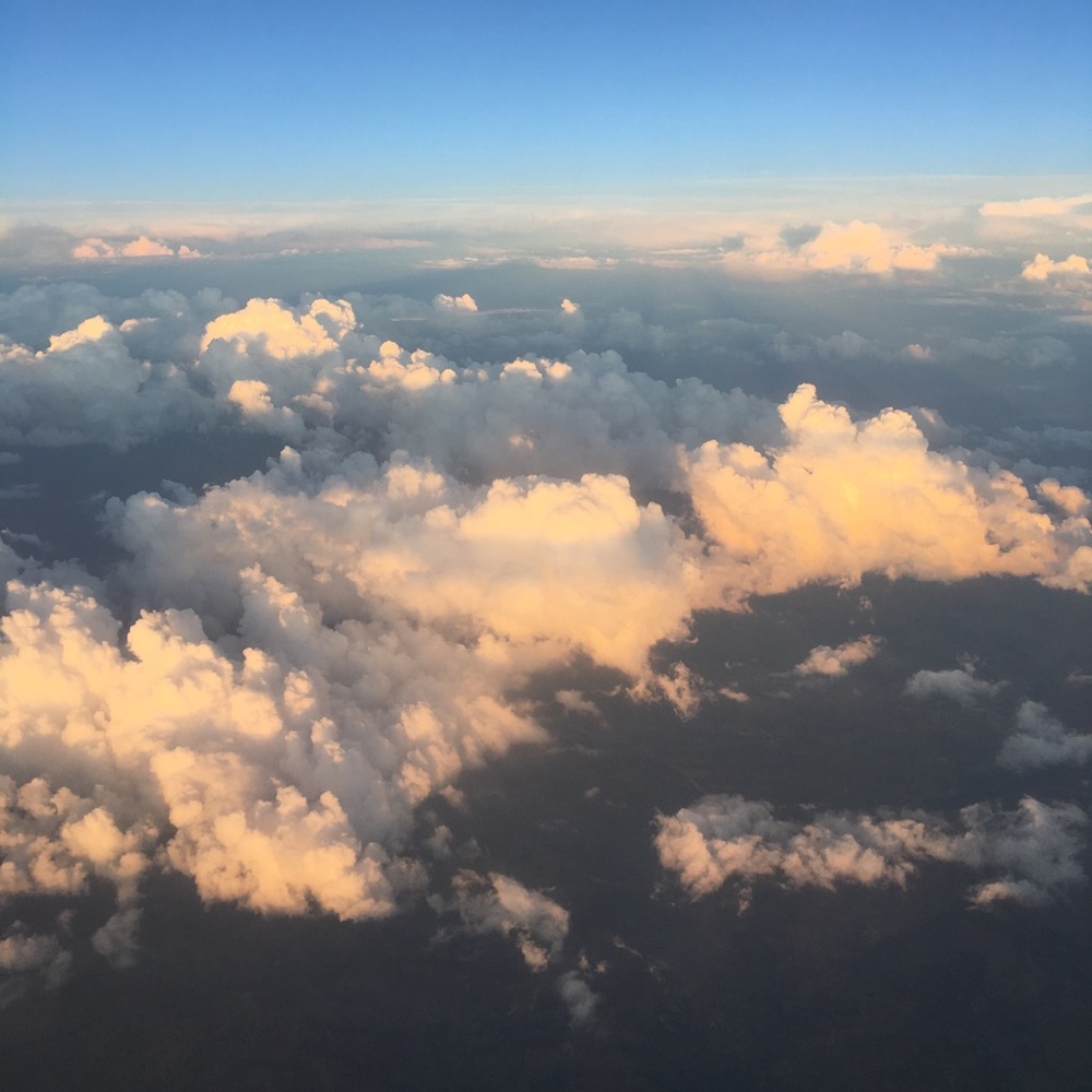 Meet your Posher, Riley